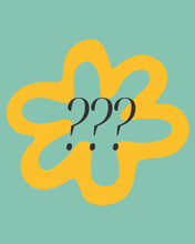 Load image into Gallery viewer, Basic Mystery Bundle
